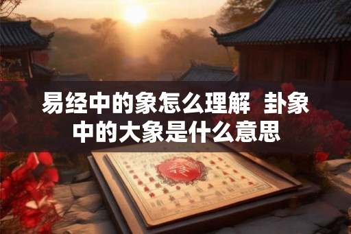 易经中的象怎么理解  卦象中的大象是什么意思