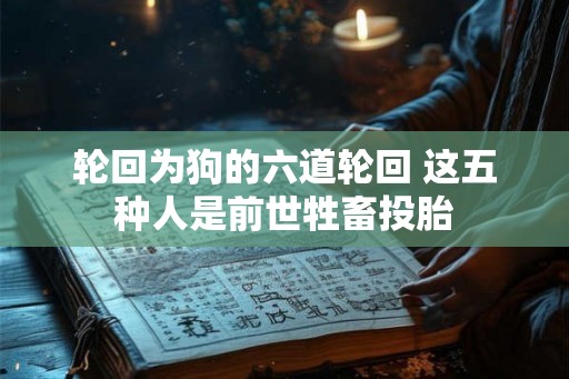轮回为狗的六道轮回 这五种人是前世牲畜投胎 轮回为狗的六道轮回 这五种人是前世牲畜投胎