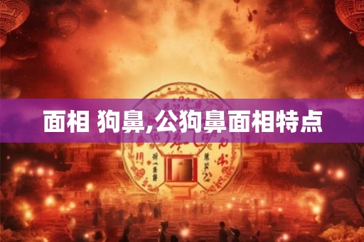 面相 狗鼻,公狗鼻面相特点
