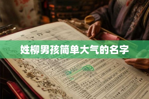 姓柳男孩简单大气的名字