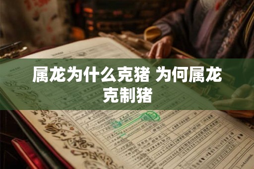 属龙为什么克猪 为何属龙克制猪