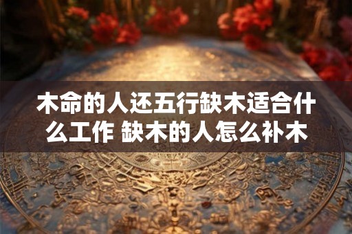 木命的人还五行缺木适合什么工作 缺木的人怎么补木