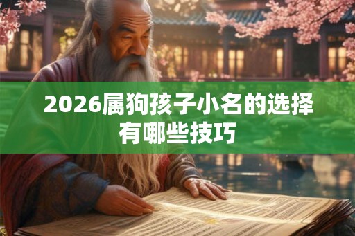 2026属狗孩子小名的选择有哪些技巧