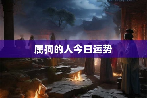 属狗的人今日运势