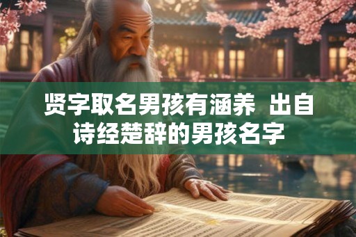 贤字取名男孩有涵养  出自诗经楚辞的男孩名字