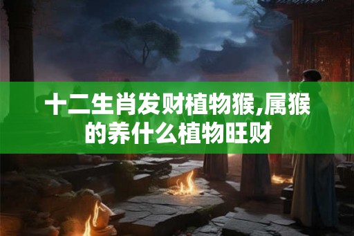 十二生肖发财植物猴,属猴的养什么植物旺财 十二生肖发财植物猴,属猴的养什么植物旺财