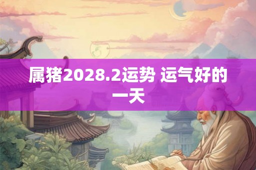 属猪2028.2运势 运气好的一天