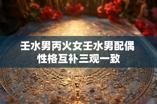 壬水男丙火女壬水男配偶 性格互补三观一致