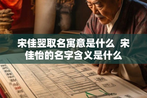 宋佳翌取名寓意是什么  宋佳怡的名字含义是什么