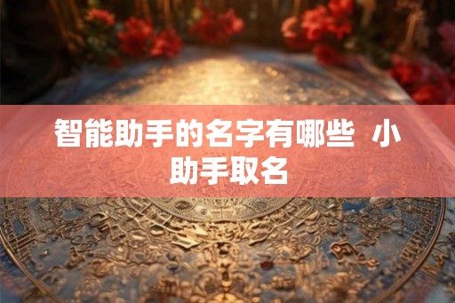 智能助手的名字有哪些  小助手取名