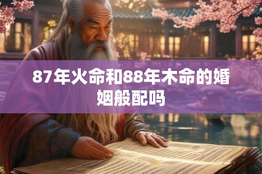 87年火命和88年木命的婚姻般配吗