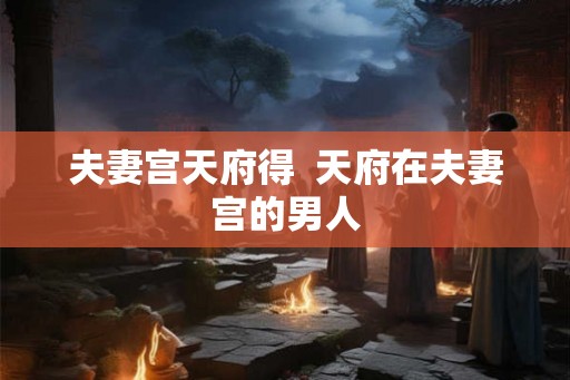 夫妻宫天府得  天府在夫妻宫的男人