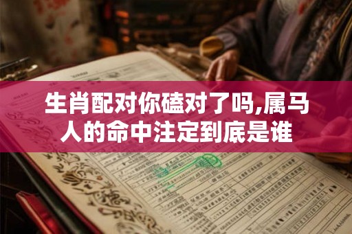 生肖配对你磕对了吗,属马人的命中注定到底是谁 生肖配对你磕对了吗,属马人的命中注定到底是谁