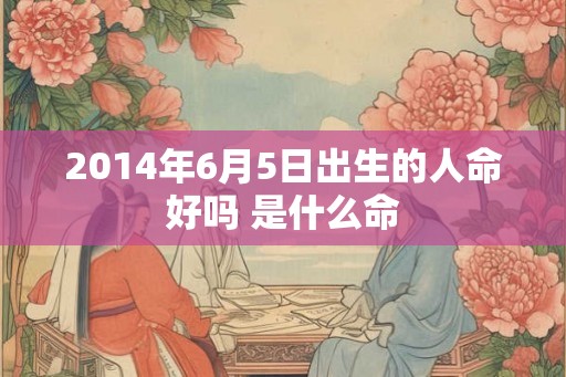 2014年6月5日出生的人命好吗 是什么命 2014年6月5日出生的人命好吗 是什么命