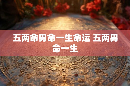 五两命男命一生命运 五两男命一生