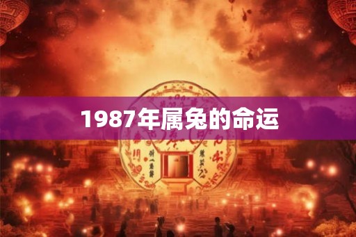 1987年属兔的命运