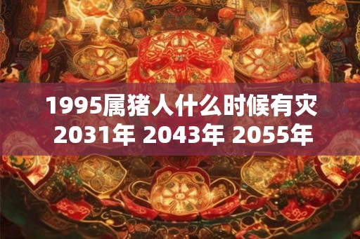 1995属猪人什么时候有灾 2031年 2043年 2055年