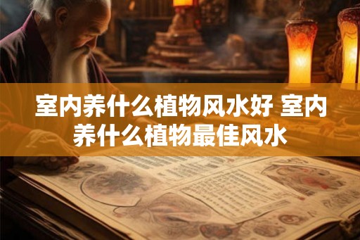 室内养什么植物风水好 室内养什么植物最佳风水