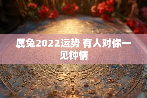 属兔2022运势 有人对你一见钟情
