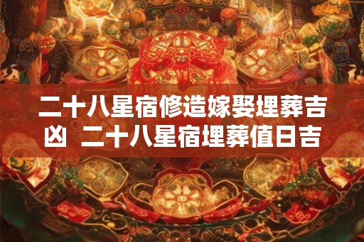 二十八星宿修造嫁娶埋葬吉凶  二十八星宿埋葬值日吉凶