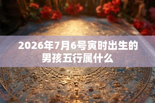 2026年7月6号寅时出生的男孩五行属什么