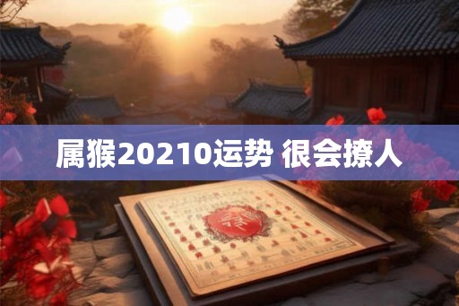 属猴20210运势 很会撩人