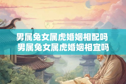男属兔女属虎婚姻相配吗 男属兔女属虎婚姻相宜吗