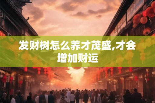 发财树怎么养才茂盛,才会增加财运