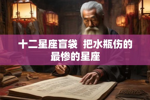十二星座盲袋  把水瓶伤的最惨的星座