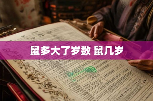 鼠多大了岁数 鼠几岁 鼠多大了岁数 鼠几岁