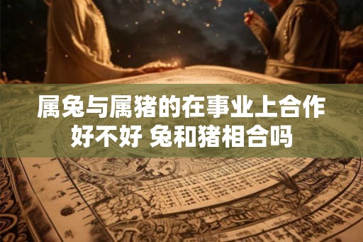 属兔与属猪的在事业上合作好不好 兔和猪相合吗