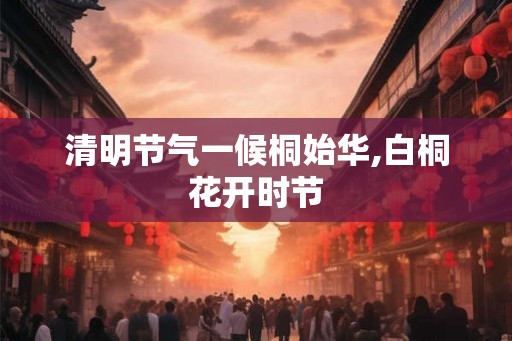 清明节气一候桐始华,白桐花开时节 清明节气一候桐始华,白桐花开时节