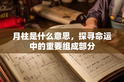 月柱是什么意思，探寻命运中的重要组成部分
