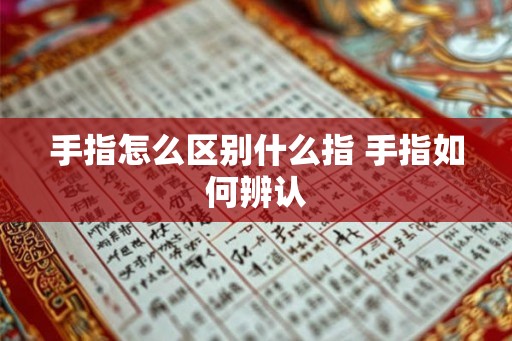 手指怎么区别什么指 手指如何辨认