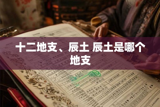 十二地支、辰土 辰土是哪个地支