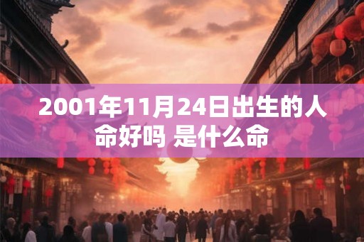 2001年11月24日出生的人命好吗 是什么命