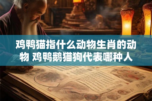 鸡鸭猫指什么动物生肖的动物 鸡鸭鹅猫狗代表哪种人