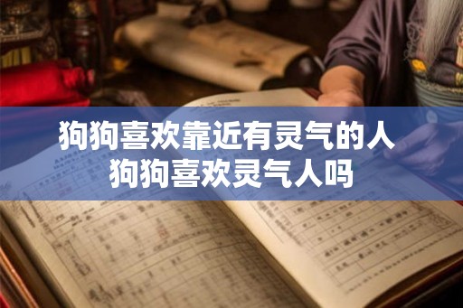 狗狗喜欢靠近有灵气的人 狗狗喜欢灵气人吗