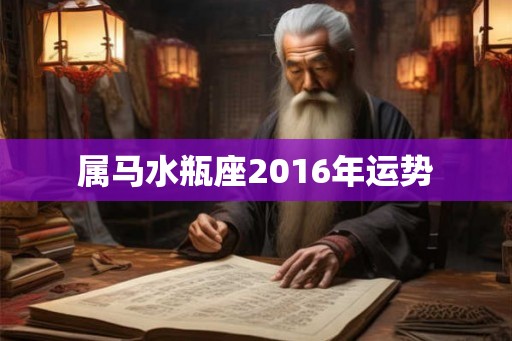 属马水瓶座2016年运势