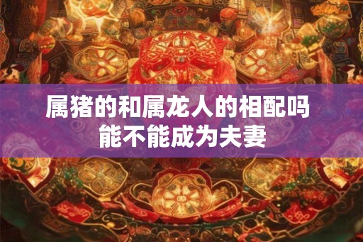 属猪的和属龙人的相配吗 能不能成为夫妻