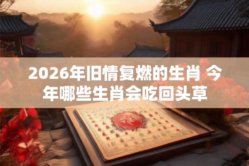2026年旧情复燃的生肖 今年哪些生肖会吃回头草