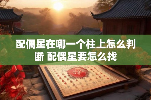 配偶星在哪一个柱上怎么判断 配偶星要怎么找