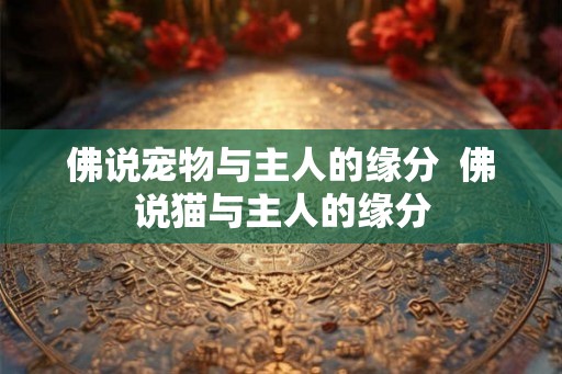 佛说宠物与主人的缘分  佛说猫与主人的缘分