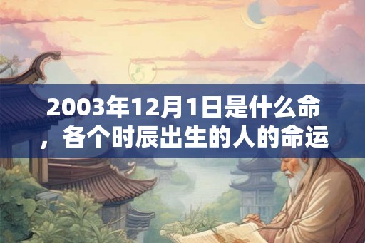 2003年12月1日是什么命，各个时辰出生的人的命运
