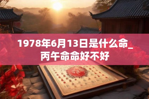 1978年6月13日是什么命_丙午命命好不好