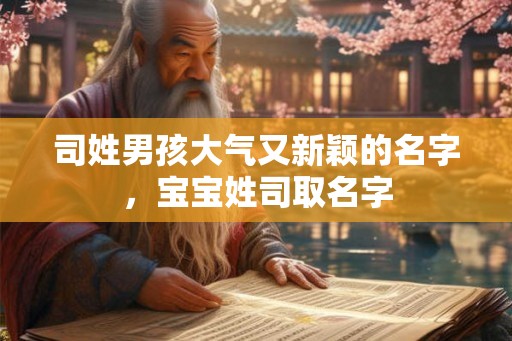 司姓男孩大气又新颖的名字，宝宝姓司取名字
