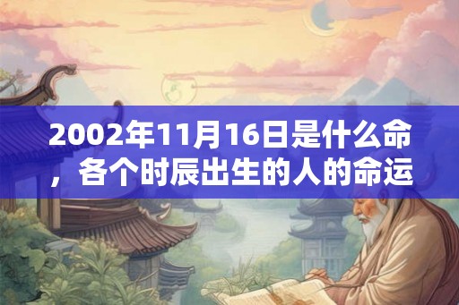 2002年11月16日是什么命，各个时辰出生的人的命运