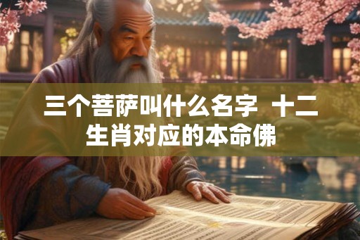三个菩萨叫什么名字 十二生肖对应的本命佛 三个菩萨叫什么名字 十二生肖对应的本命佛