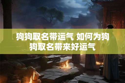 狗狗取名带运气 如何为狗狗取名带来好运气