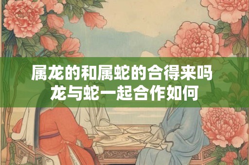 属龙的和属蛇的合得来吗 龙与蛇一起合作如何